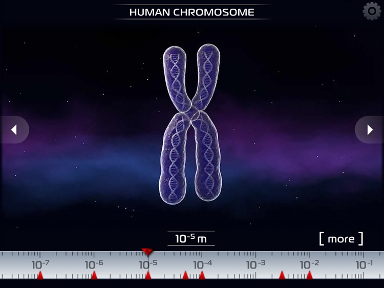Science - Microcosm 3D HD