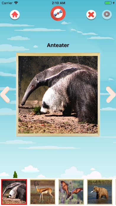 Animal Sounds, Quiz and Learn screenshot 2