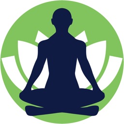 Virtual Mindfulness Meditation