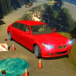 Limousine Taxi - City Drive
