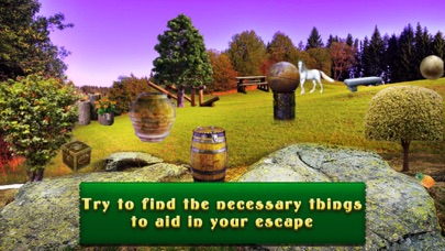 Can You Escape Forest ? screenshot 4