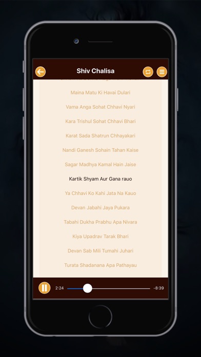 Shiv Chalisa Audio With Lyrics screenshot 2