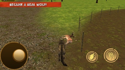 Wild Wolf Life Simulator screenshot 2