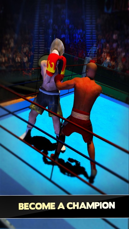 Boxer Games 2017 screenshot-3