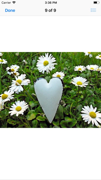 Daisy Hearts Sticker Pack