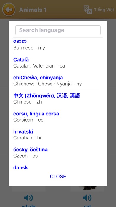 English Vocabulary, Word Game 1.1 IOS -