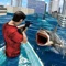 The Attack Shark Hunter Ocean City game is available for all the users