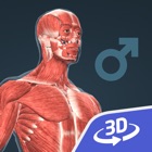 Top 38 Education Apps Like Human body (male) 3D - Best Alternatives