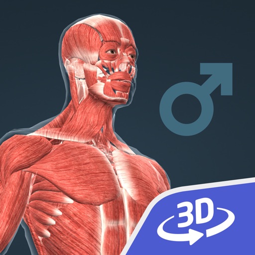 Human body (male) 3D iOS App