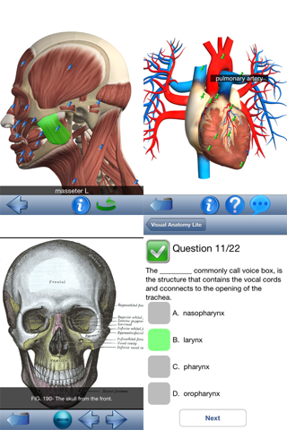 Visual Anatomy Lite screenshot 4