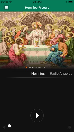 Homilies-FrLouis