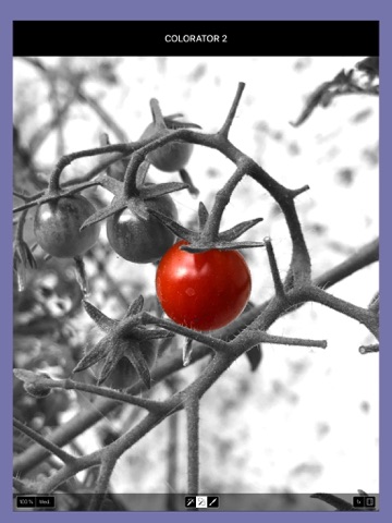 Colorator 2 - náhled
