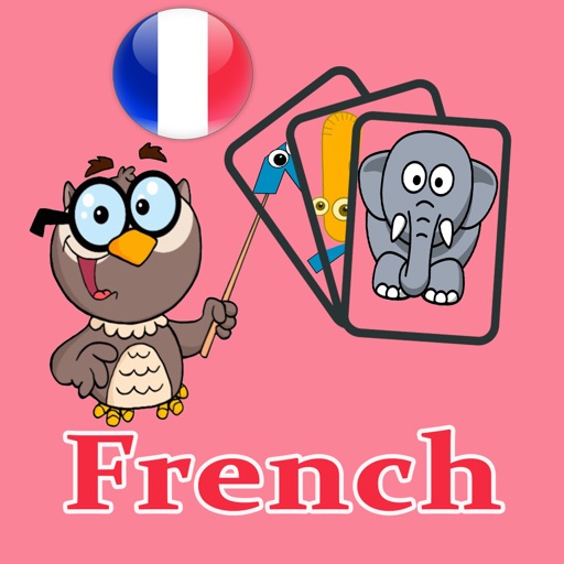 French Learning Flash Card iOS App
