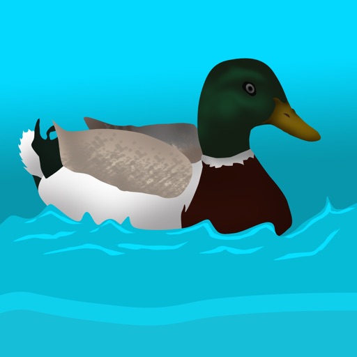 Tiny Plastic Duck Racing : Summer Water Race to Win - Free Edition icon