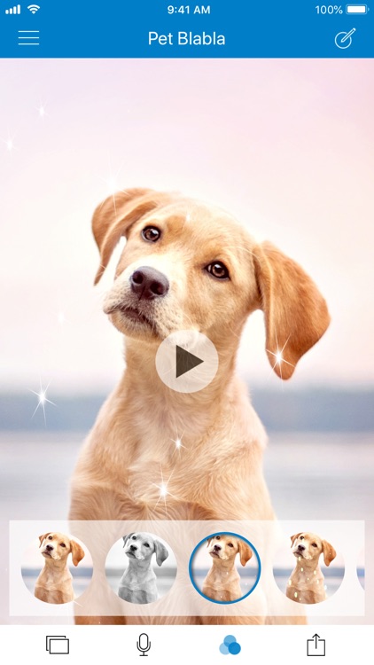 Tractive Pet BlaBla screenshot-3