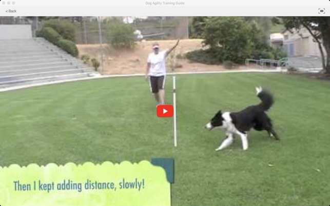 Dog Agility Training Guide(圖5)-速報App