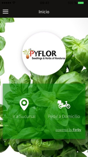 Pyflor