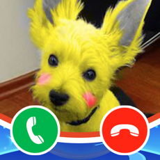 Activities of Pretty Puppy Dog Calling You!