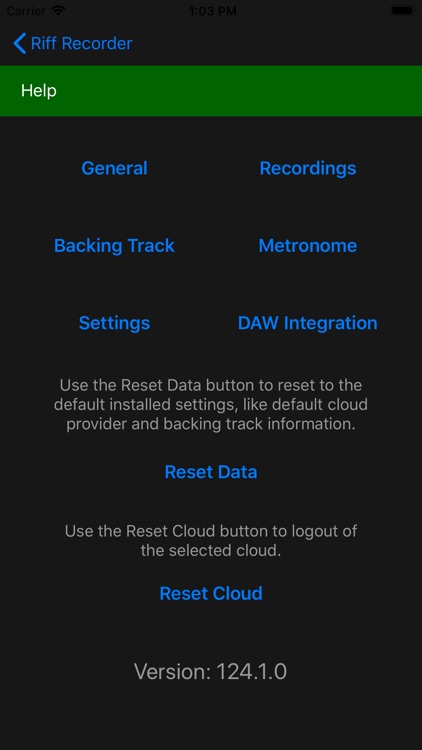 Riff Recorder screenshot-5