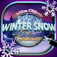 Activities of Hidden Objects Winter Snow Christmas Holiday Time