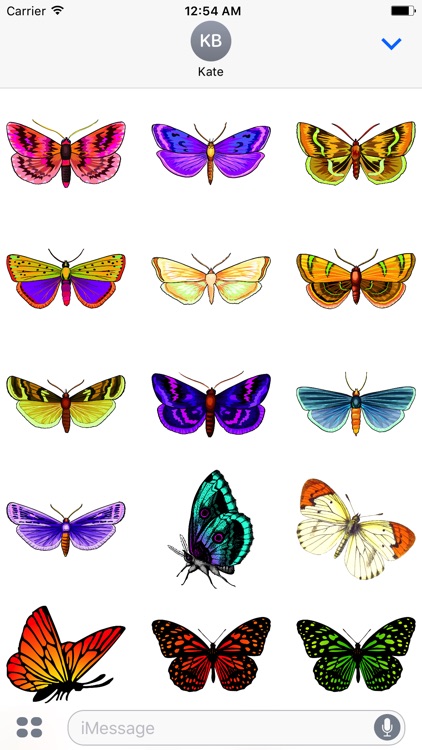 Butterfly Stickers: A Beauty Of Nature