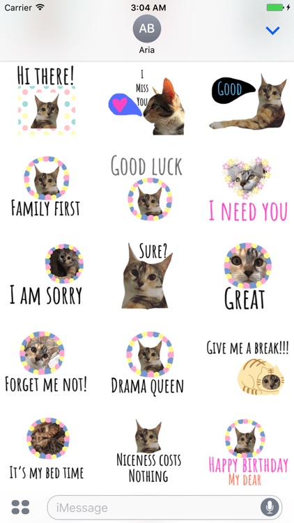 Chat With Cute Cat Sticker