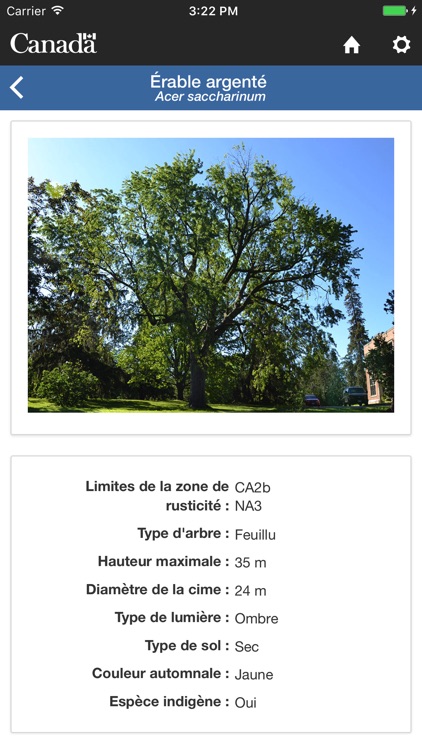 Mon Arbre screenshot-3