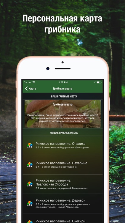 iГрибник: Грибы всего мира