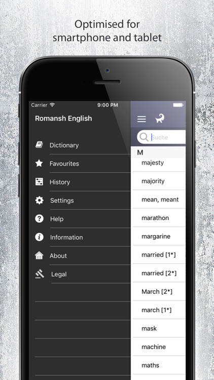 Dictionary Romansh English screenshot-4