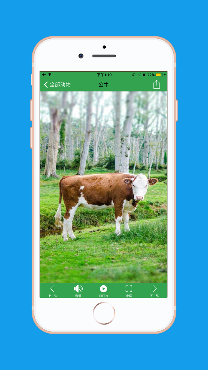 AnimalSounds - 动物叫声