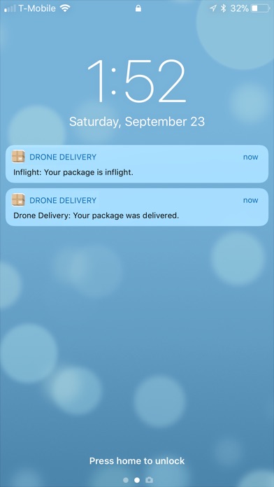 Drone Package Delivery screenshot 3