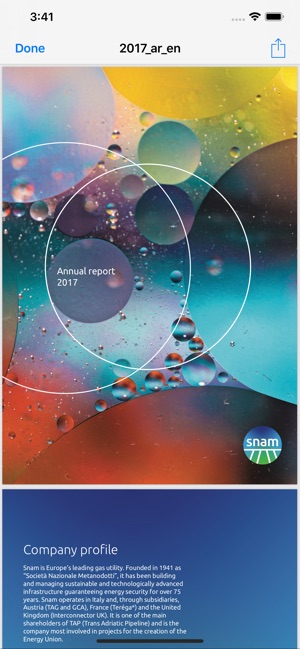 Snam Annual & Interim Reports(圖3)-速報App