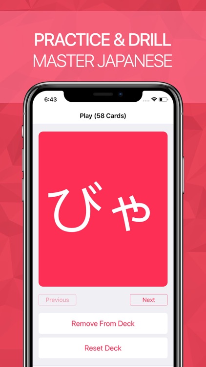 Hiragana & Katakana Flash screenshot-4