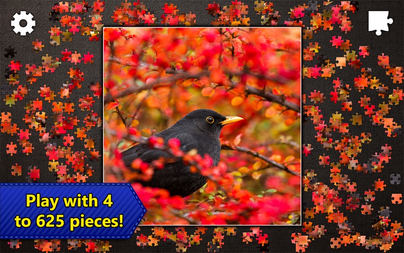 Free online jigsaw puzzles for macs