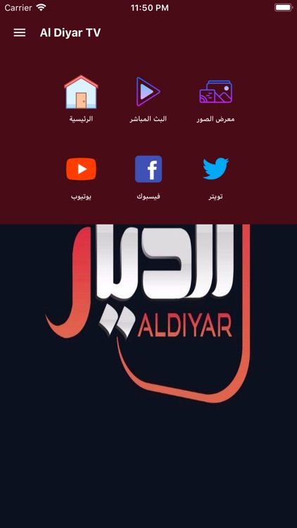 Al Diyar TV