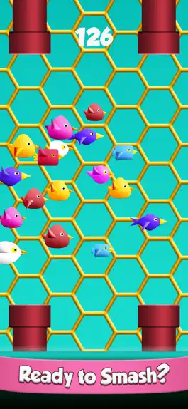 Game screenshot Cool Birds Game - Fun Smash mod apk