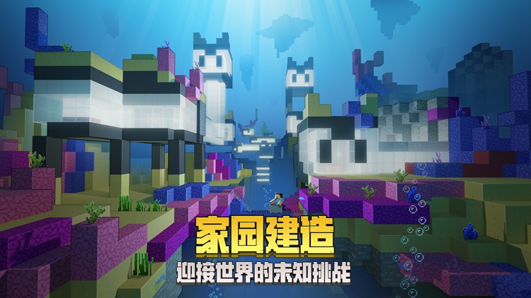 我的世界 screenshot-8
