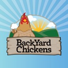 Backyard Chickens (BYC)