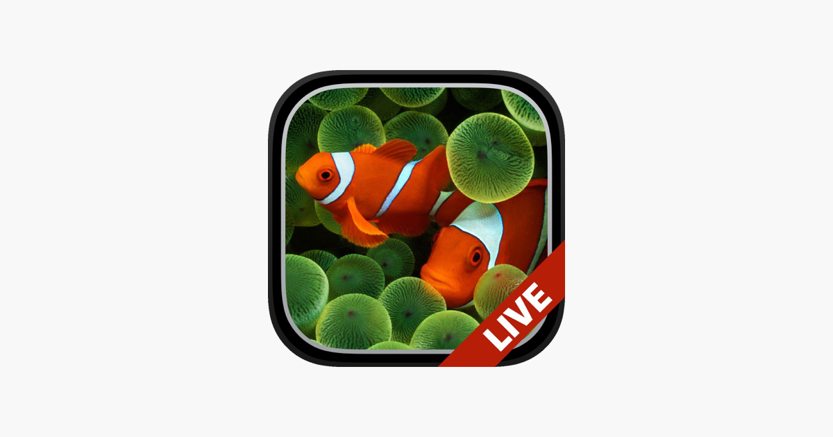 Aquarium Dynamic Wallpapers On The App Store