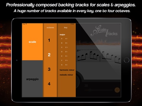 ScaleTracks screenshot 2