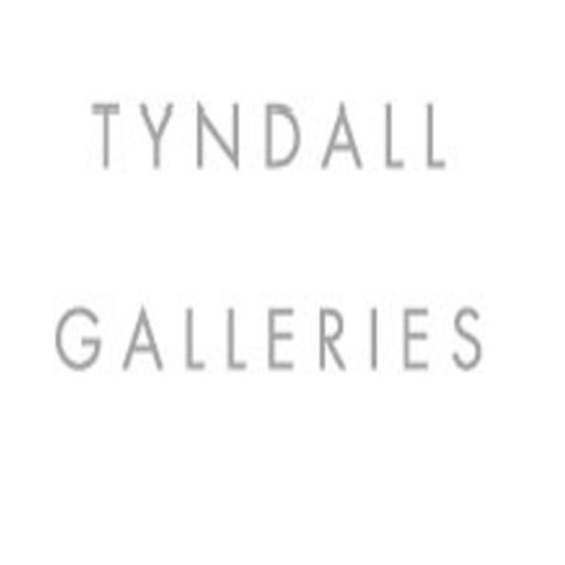 Tyndall Galleries icon