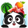 熊猫认水果-会说话的熊猫游戏大全