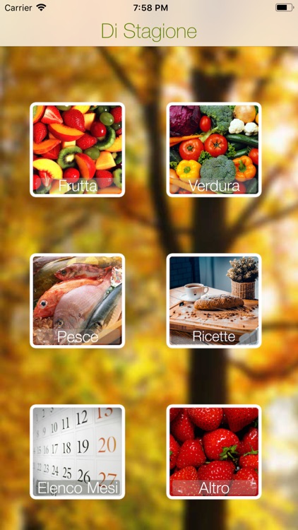 Di Stagione - Frutta e Verdura screenshot-0