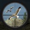 Flying Birds Hunting Game: is a Bird Hunter Simulation - Aim precisely & shoot flying birds to get the real bird hunting experience