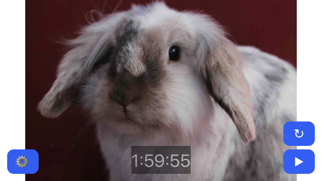 Pet Timer: Cute Bunny, Dog, Cat or Guinea Pig!(圖2)-速報App