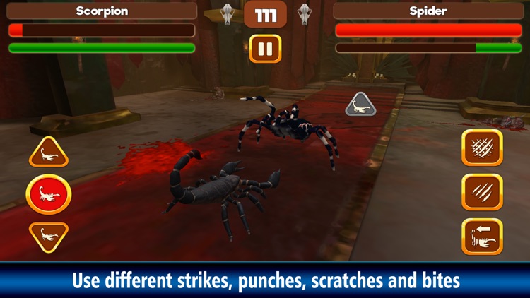 Scorpion Fight: Insect Battle screenshot-3