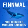 FinnwalAR