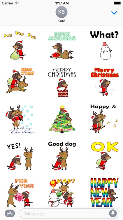 Funny Dog On Christmas Holiday