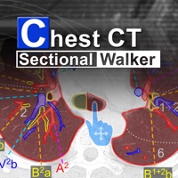 Chest CT Sectional Walker PC 용