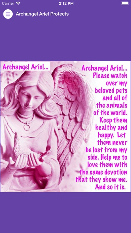 Archangel Ariel Protects